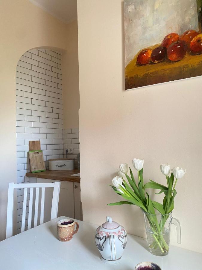 Nad Mlynowka Apartment Opole Luaran gambar